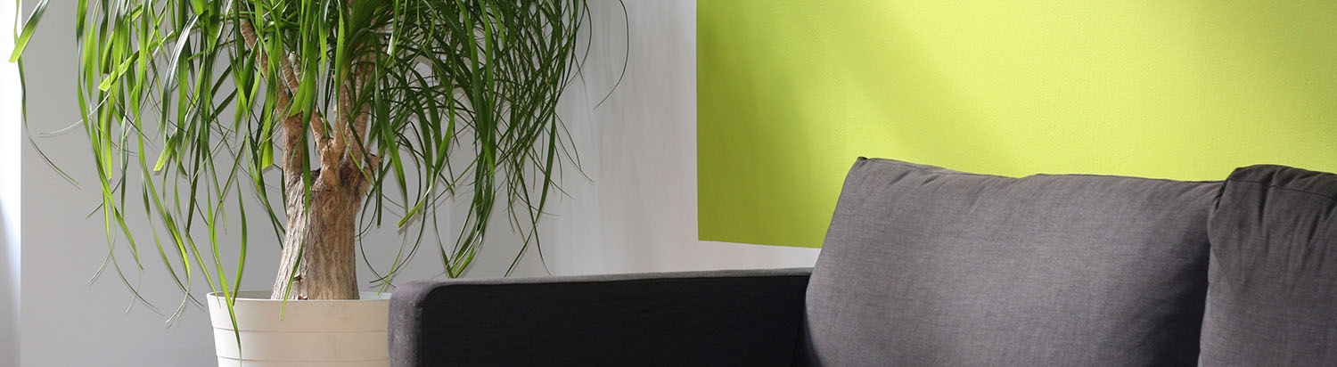 inside a house with a plant